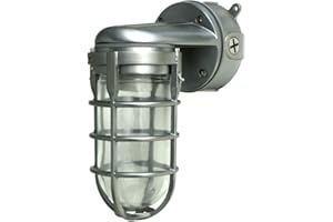 Woods L1707SV Traditional 150W Incandescent Weather Industrial Light, Wall Mount, Silver,Large