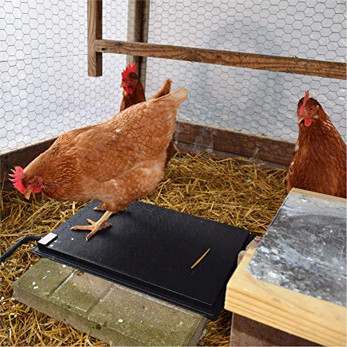 Farm Innovators Model HM60P Heated Chicken Mat Pricepulse