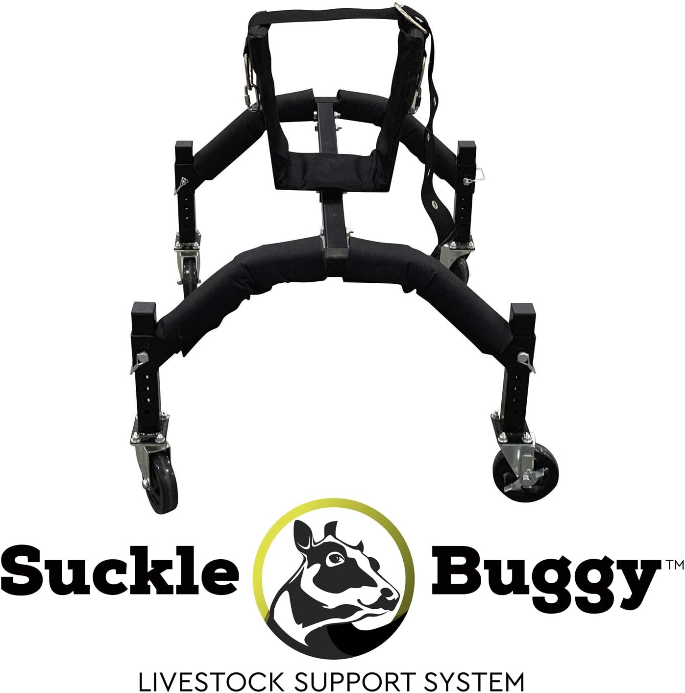 safe system buggy
