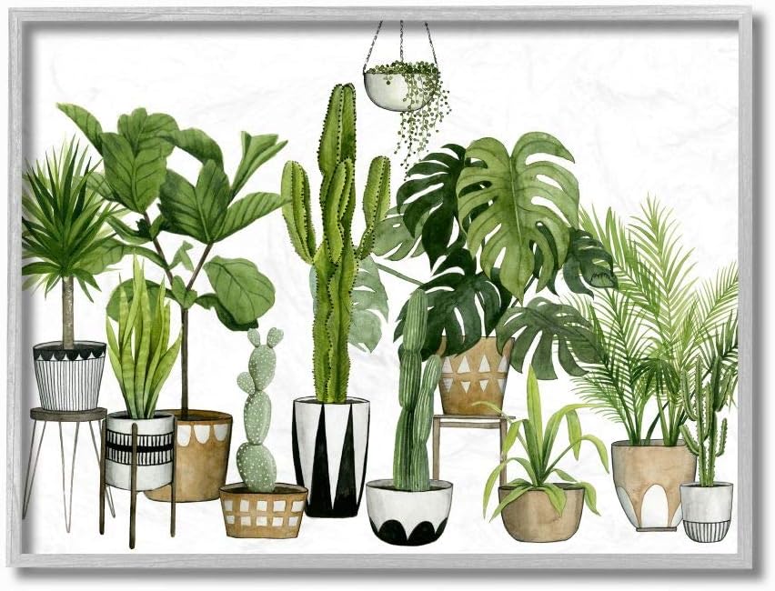 Stupell IndustriesBoho Plant Scene with Cacti and Succulents in Geometric Pots Watercolor Framed Giclee Art Design By Artist Grace Popp