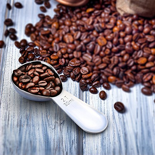 6 1Easylife+Endurance+Stainless+Coffee+Tablespoon