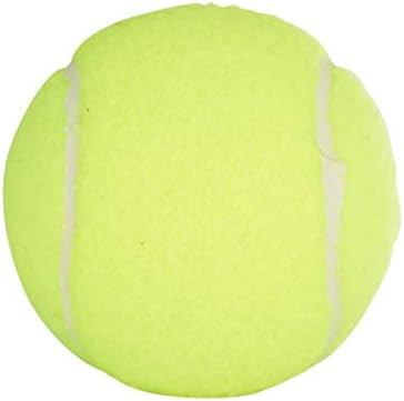 Penn Championship Tennis Balls - Extra Duty Felt Pressurized Tennis Balls - (2 Cans, 6 Balls) : Sports & Outdoors