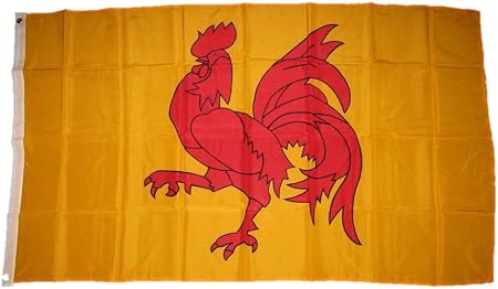 Amazon Com Flag Of Wallonia 3x5 Ft Banner Bold Red Walloon Rooster French Belgium Region Garden Outdoor Each team has 6 players and there is no hero restriction. flag of wallonia 3x5 ft banner bold red walloon rooster french belgium region