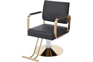 ZAWAYINE Barber Chair Salon Chair for Hair Stylist Hair Chair for Barbershop 360° Swivel Salon Styling Spa Beauty Salon Equipment Beauty for Women Man Barbershop Home Max Load Weight 440 Lbs