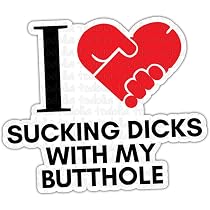 TODOLIA (3Pcs-3in) I Love Sucking Dicks with My Butthole Sticker ...