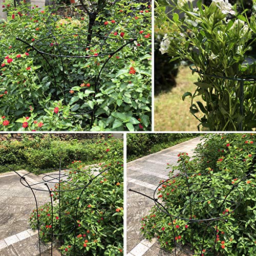 CJSWT Rankgerüst Kletterpflanzen, Rankhilfe, für Kletterrebe-Blumen,Obelisken Garten, für Jede Terrasse, Rasen, Garten… – Bild 5