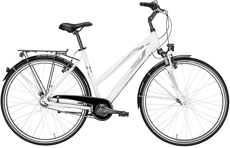avanti ladies bike