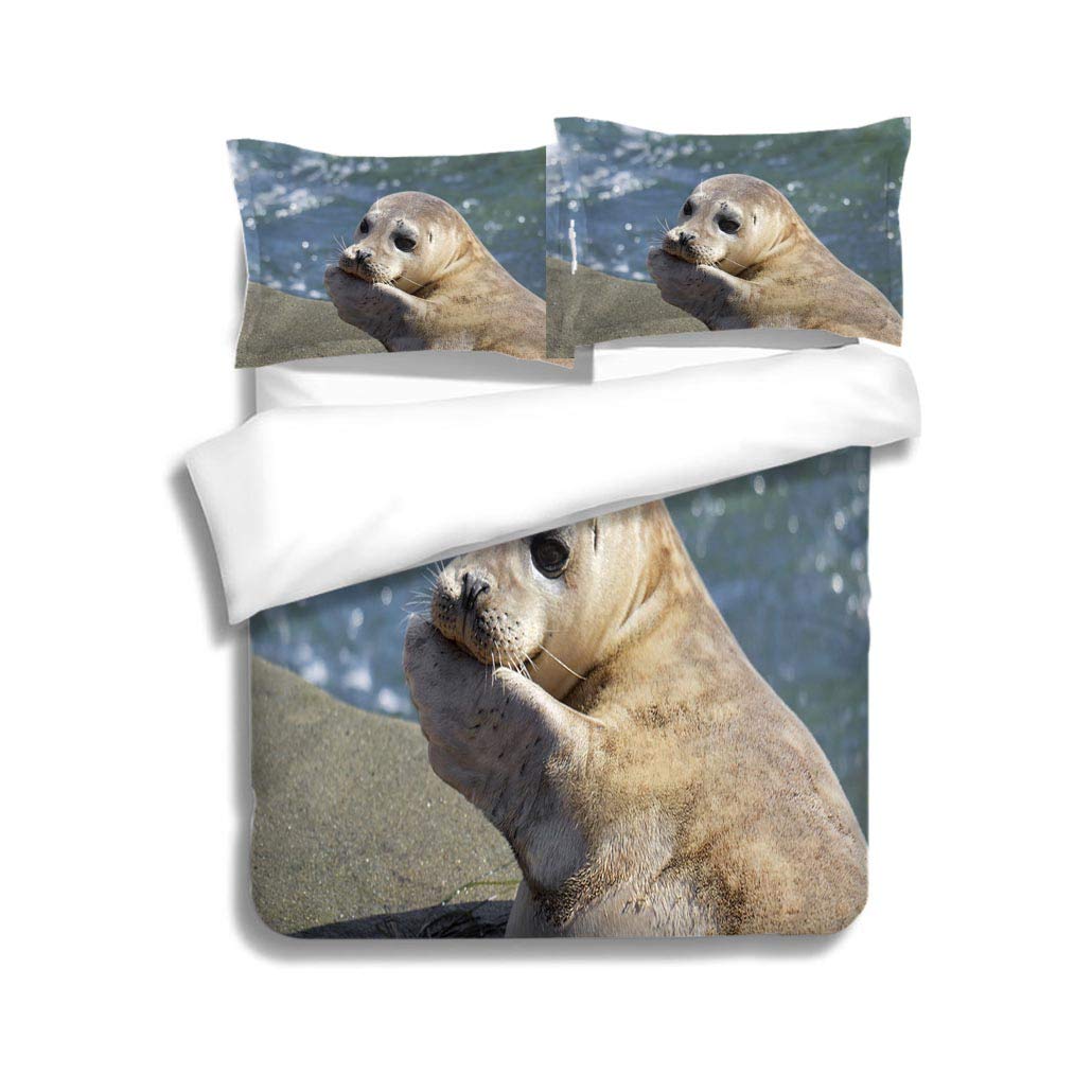 Best La Jolla Queen Bedding Set