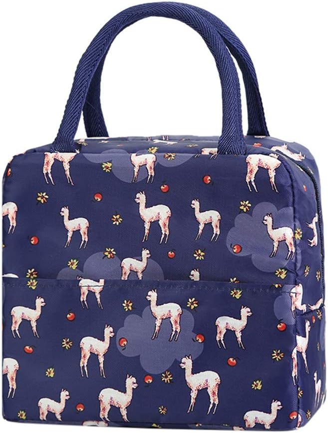 SHINEHUA Insulated Lunch Bag Tote Bag for Women Lunch Bag for Adults Lunch Bag for Kids Picnic Bags Lunch Cooler Bag for Men Lunch Box Tote