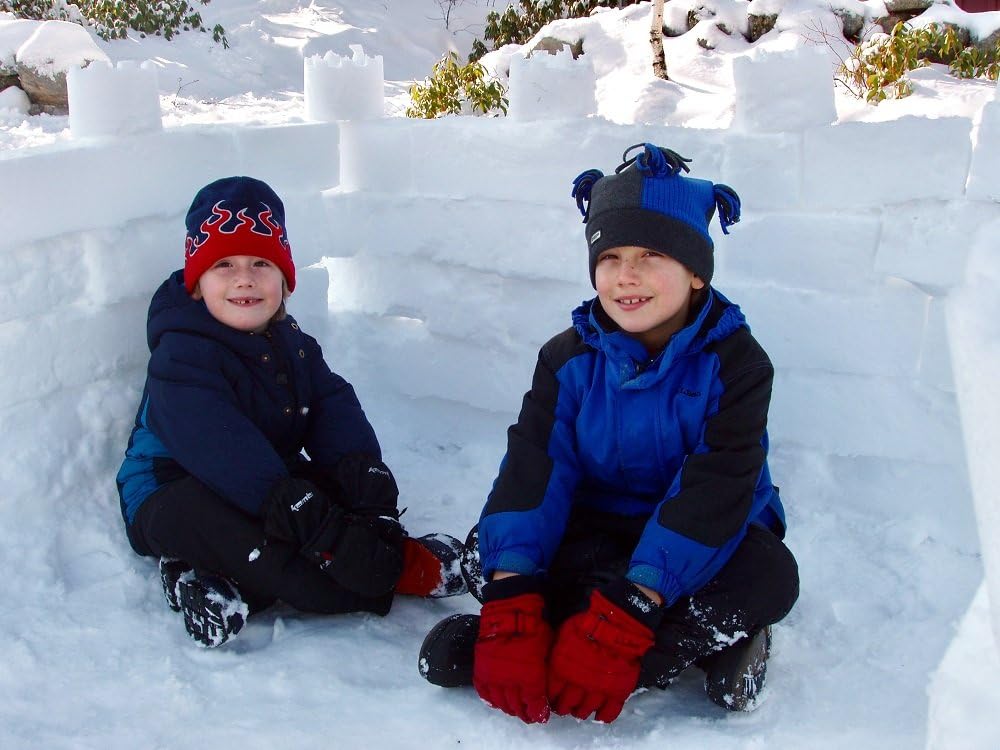 Flexible Flyer Snow Fort Building Block, Sand Castle Mold, Beach Toy Brick Form, 1 Mold (605): Sports & Outdoors