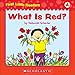 First Little Readers: Guided Reading Level A: A Big Collection of Just-Right Leveled Books for Beginning Readers