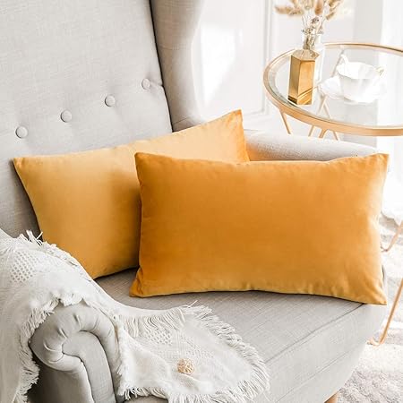 Miulee Velvet Soft Soild Microfiber Decorative Square Pillow Case