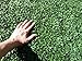 GENPAR 12 Piece Artificial Hedge Boxwood, Covers Adds Protection, Privacy Fences, UV Protection, 20