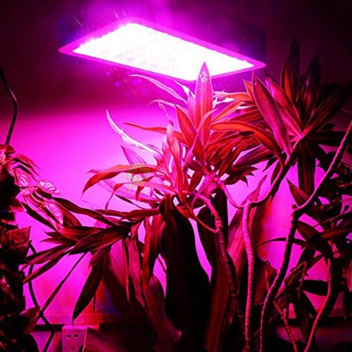 1000W LED Double Chips Super Bright Grow Light Lamp Full Spectrum Panel Veg Flower Medical Indoor Plant