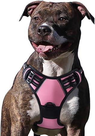eagloo dog harness