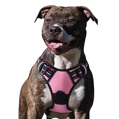 eagloo dog harness