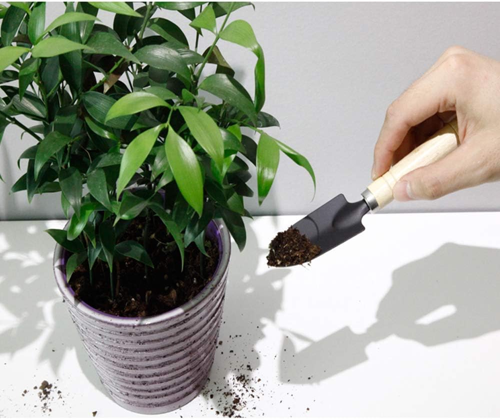 Huture Mini 3pcs Durable Spade Shovel Rake for Plant Potted Flowers Seedlings Loose Soil Erramientas Bonsai Wooden Handle Perfect Size for Little Hands Light Use Indoor Outdoor Gardening Care Gifts : Garden & Outdoor