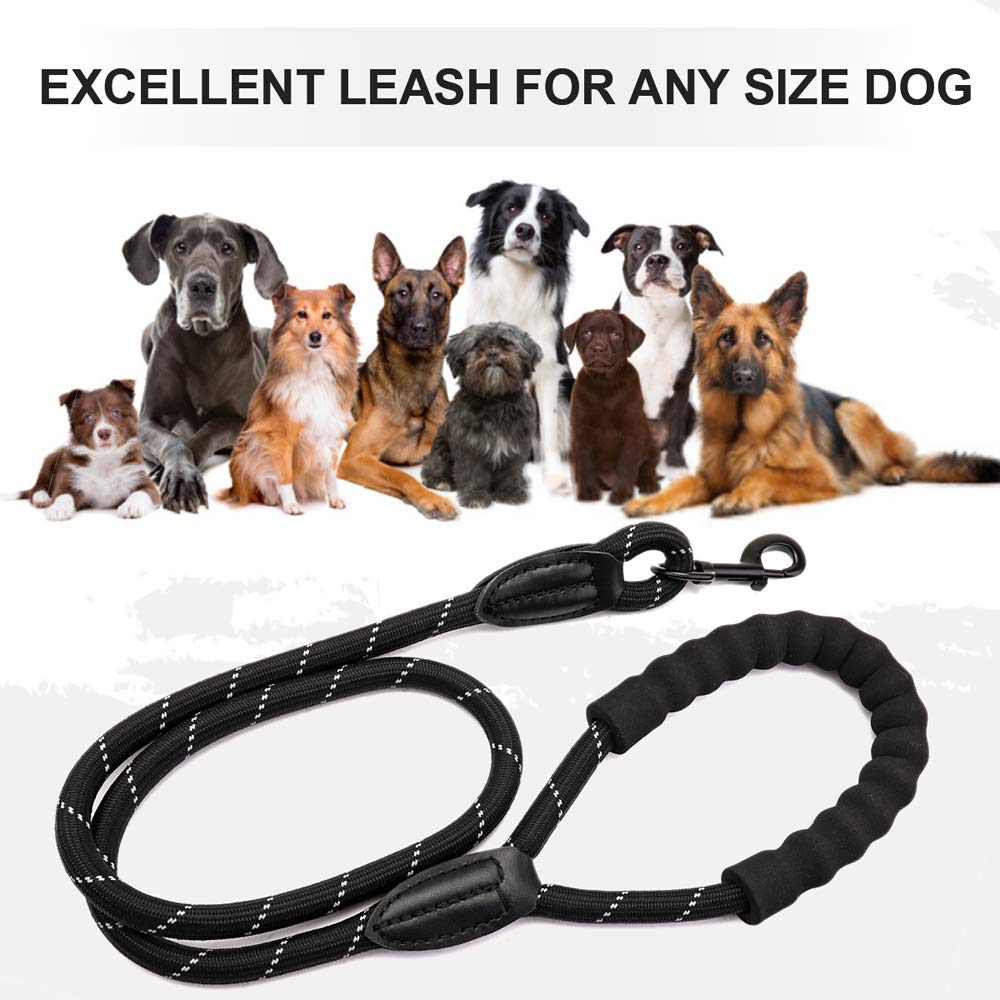 Keenstone Heavy Duty Dog Leash, 4 FT Long Nylon Tape Dog Walking Leash with Comfortable Padded Handle and Highly Reflective Threads for Medium and Large Dogs, Dog Waste Dispenser and Bags Included