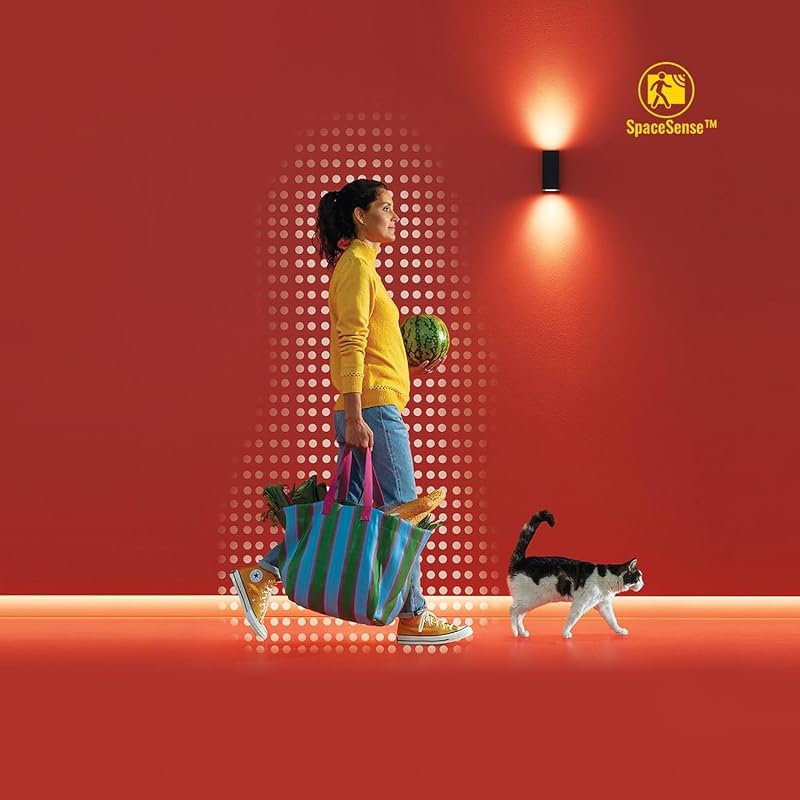 Ruban LED Neon Flex, 16 millions de couleurs et nuances de blanc, Bande LED 3 m, Scènes de lumières dynamiques, Connexion WI-FI, Contrôle par la Voix, App, Alexa,Google Assistant et Apple HomeKit