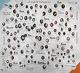 The Game Of Thrones Family Tree TV Poster Canvas Printing Poster