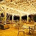 Amysen LED String Lights, 33ft 100 LEDs Remote Control Dimmable Complete Waterproof (Warm White 66FT)