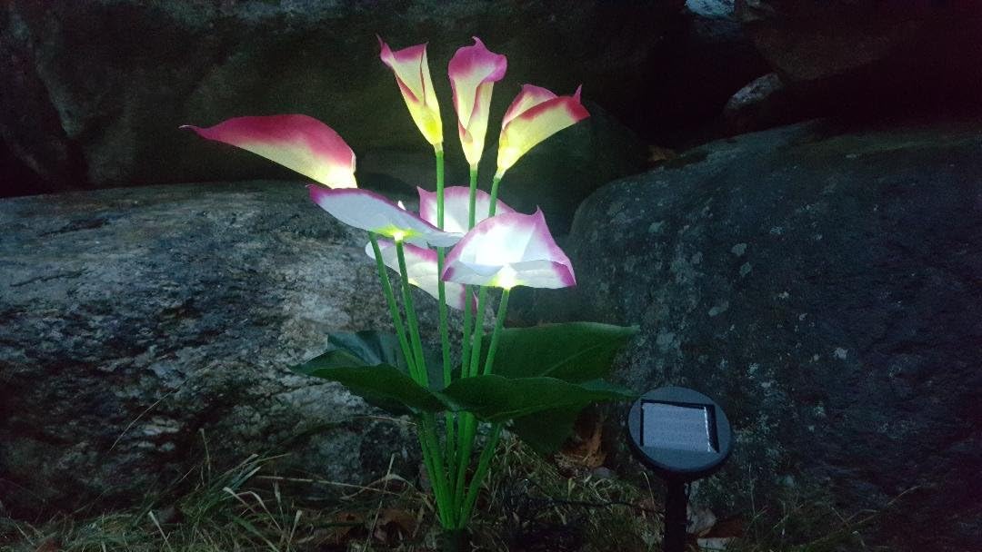 Solar Calla Lily, Solar Lights, Decorative Garden Lights