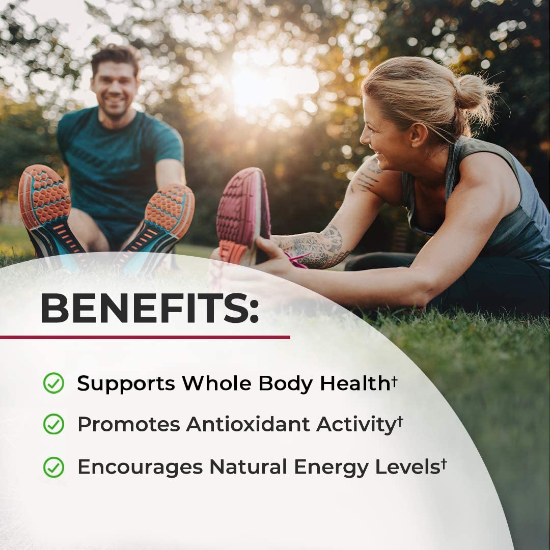 Sugar Free Beet Root Gummies - Nitric Oxide Gummies Infused with Coconut Oil for Highest Absorption - Supports Energy & Whole Body Health - Delicious Strawberry Flavor - 120 Count (60 Day Supply)