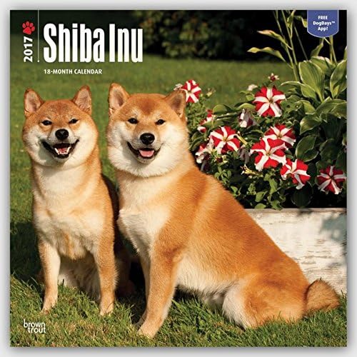 Shiba Inu 2017 Square (Multilingual Edition) Calendar – Wall Calendar, August 20, 2016