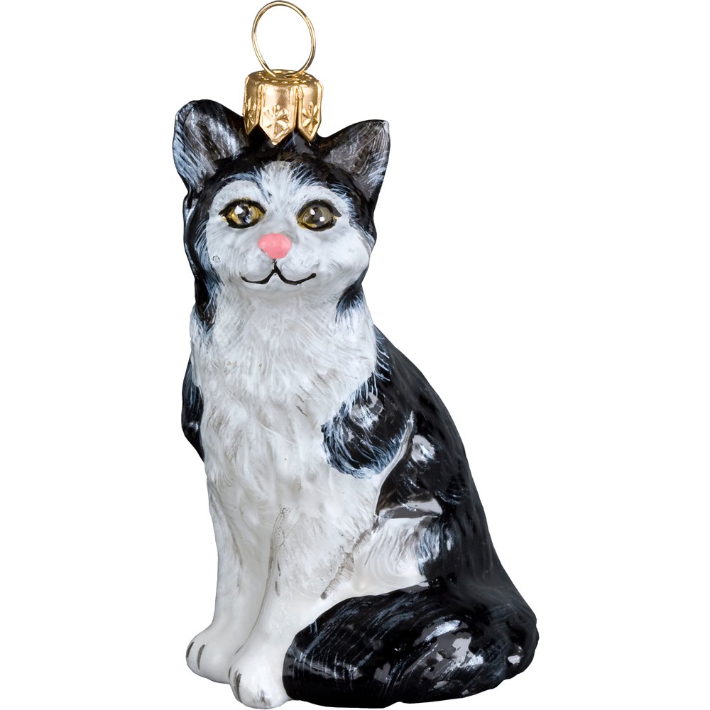 Amazon Com Joy To The World American Shorthair Black White Cat
