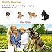 Pop Dog Bark Collar [2018 Version] No Bark Collar Dog Small/Large Bark Collar with Beep Vibration, 7 Sensitivity Levels, Harmless and Humane NO SHOCK … (orange)