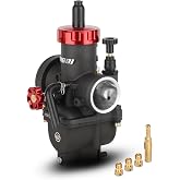 NIBBI Carburetor PE30 30mm Carburetor fit 250cc 300cc Motorcycle Engine with Carb Jets - For Dirt Pit Bike Mini Bike Motocross GY6