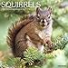 Squirrels 2017 Wall Calendar