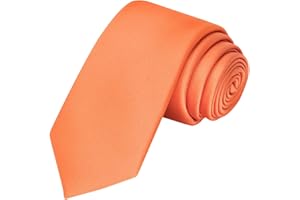 KissTies Skinny Tie 2.4'' Necktie Slim Ties + Gift Box