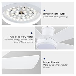 Ceiling Fans with Lights,Modern Low Profile Ceiling