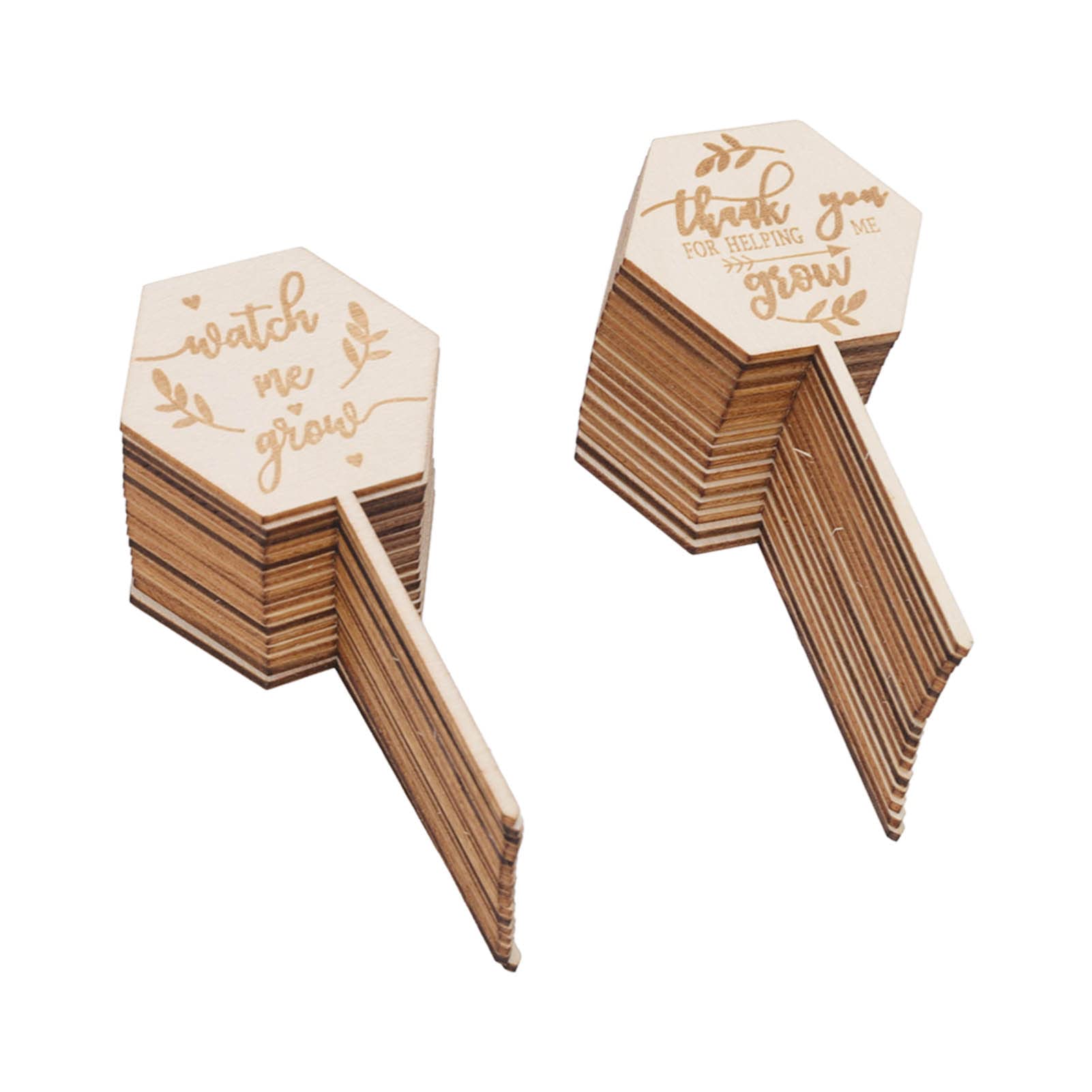 36pcs Watch Me Grow Succulent Tags Wooden Hexagonal Watch Me Grow Succulent Tags Baby Shower Favors Gifts for Flower Pot Decoration Plant