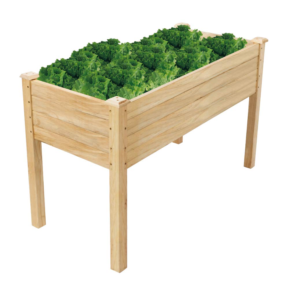 Best Raised Garden Bed Step
