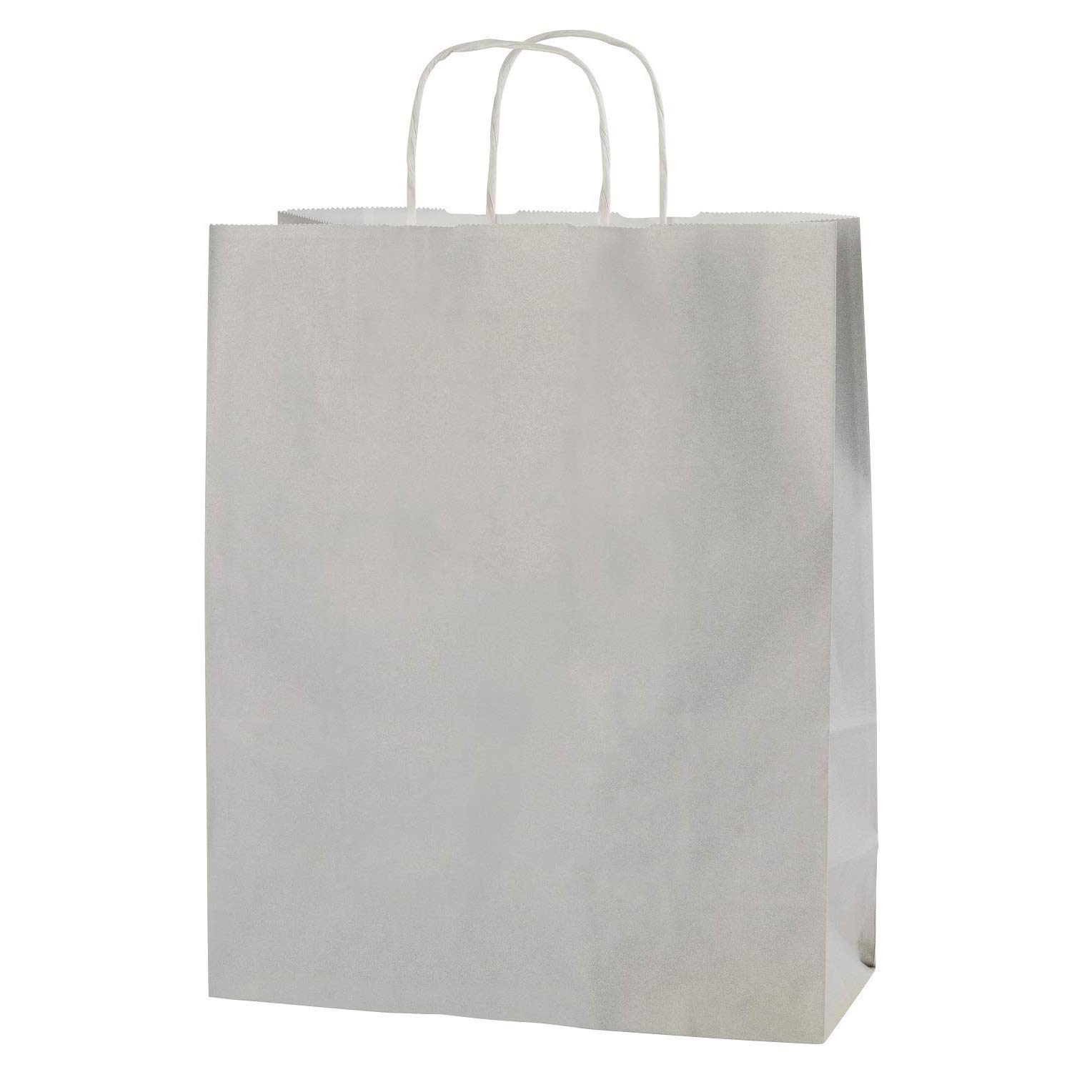 Thepaperbagstore 30 Light Grey Medium Paper Bags with Handles - 25x11x31cm - Colourful Paper Gift Bags for Adults and Kids - for Shopping, Party, Birthdays and Weddings