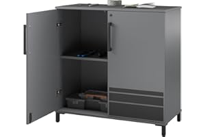 SystemBuild Evolution Shelby Garage Base Cabinet 2 Door, Graphite
