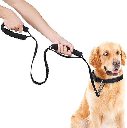 anti shock dog leash