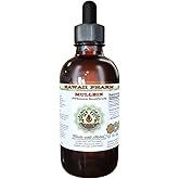 Mullein Alcohol-Free Liquid Extract, Organic Mullein (Verbascum densiflorum) Dried Flower Glycerite Natural Herbal Supplement, Hawaii Pharm, USA 2 oz Qty 1