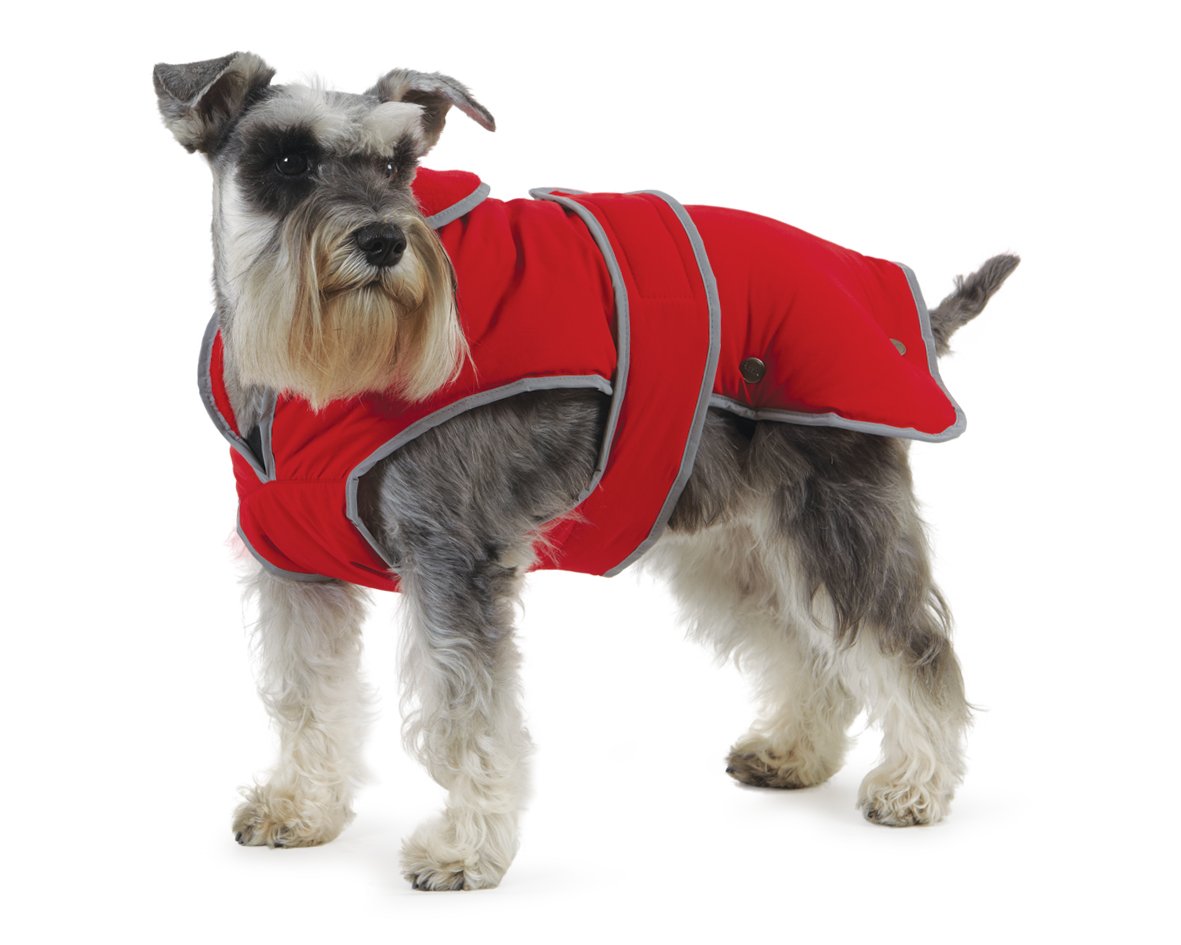 Ancol Muddy Paws All Weather Stormguard Coat .Poppy Red Size Small ( Length 30 cm, up to 52cm girth) โ image 1