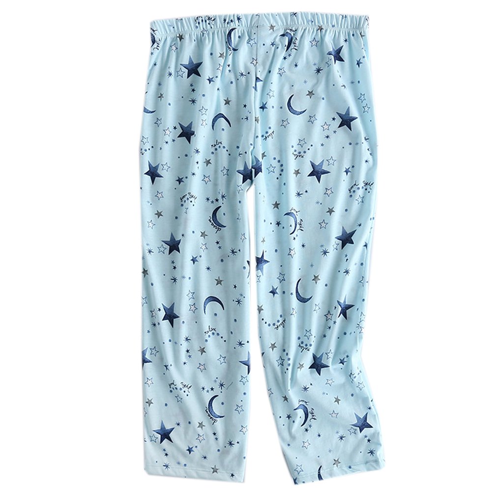 ENJOYNIGHT Women\'s Print Tee Sleepwear and Shorts Nightgown Pajama Set (Large, Blue Star Set)