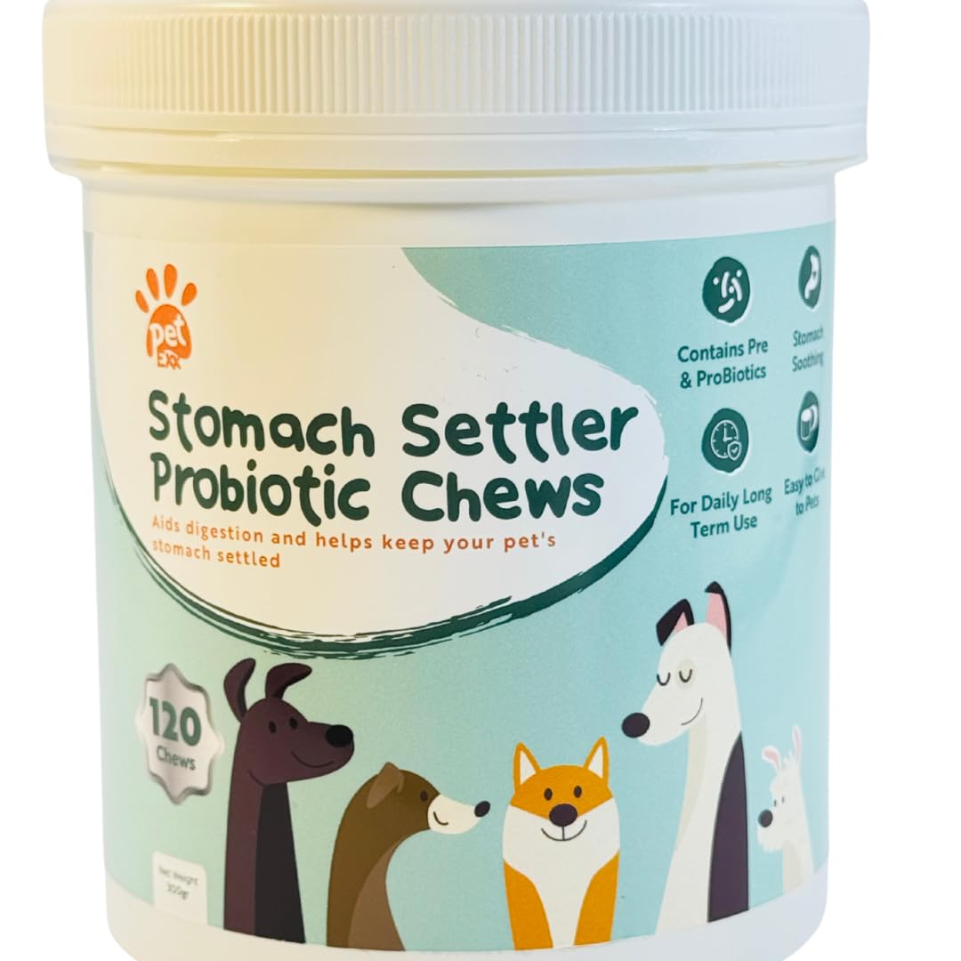 Stomach Settler Probiotic Chews - supplements as treats to help keep your beloved pets stomach calm and settled. For cats & dogs. A unique blend of probiotics and probiotics to aid digestion