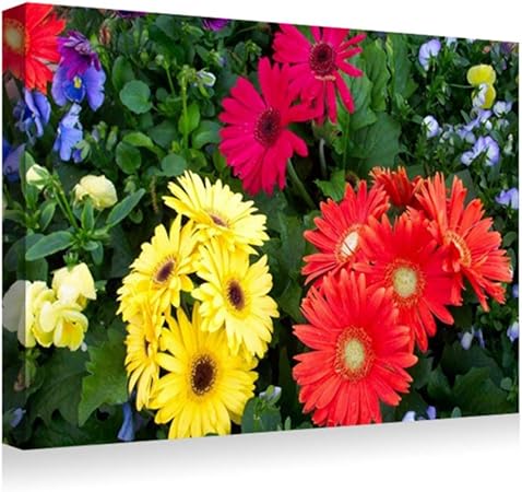 Amazon 35x50cm アートパネル ポスター 湿気を防ぐ キャンバスアート インテリア 絵画 ガーベラ花花壇別の新鮮なハーブ アートフレーム 取り付けやすい 装飾軽くて取り付けやすい 壁掛け アート 装飾 壁絵 ウォールステッカー オンライン通販
