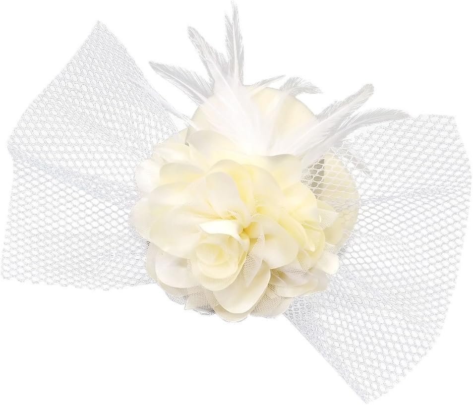 Coolr Women's Fascinator Flower Hair Clip Feather Burlesque Punk Mini Hat