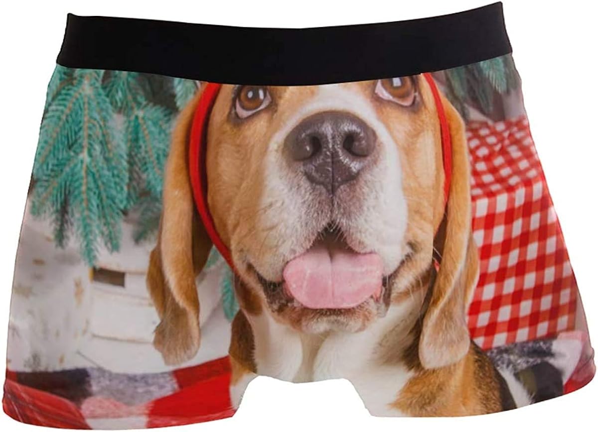 Funny Christmas Boxers 