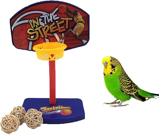 affordable cat spay near me