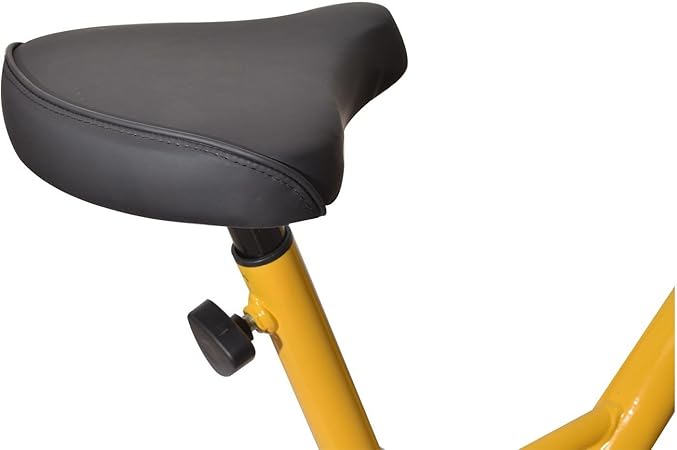 soozier upright stationary exercise cycling bike with lcd monitor