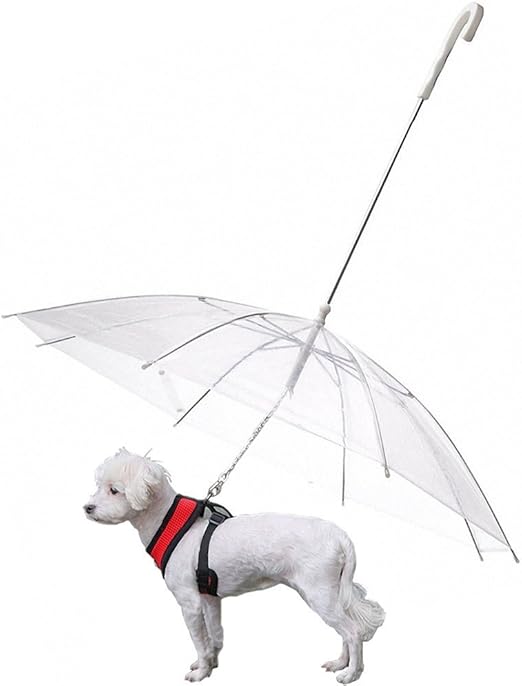 amazon dog umbrella