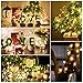 String Lights, Oak Leaf 6 PCS LED Fairy Lights 20 LEDs Bright Starry Light Copper Wire Lights, Best Lights for Home, Wedding, Parties, Warm White